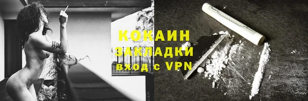 шишки Алзамай