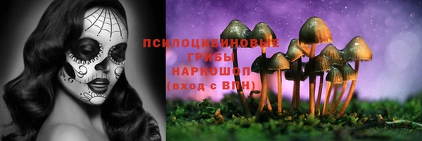 гидра Сосновка