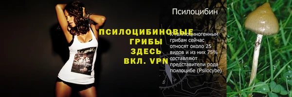 СК Алексин