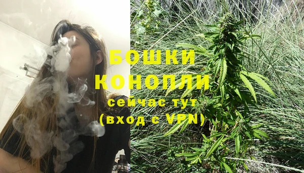 хмурый Сосновый Бор