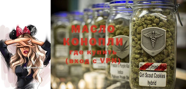 хмурый Сосновый Бор