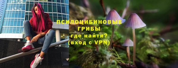 прущие крисы Алексеевка