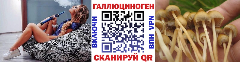 Галлюциногенные грибы MAGIC MUSHROOMS  Бикин 